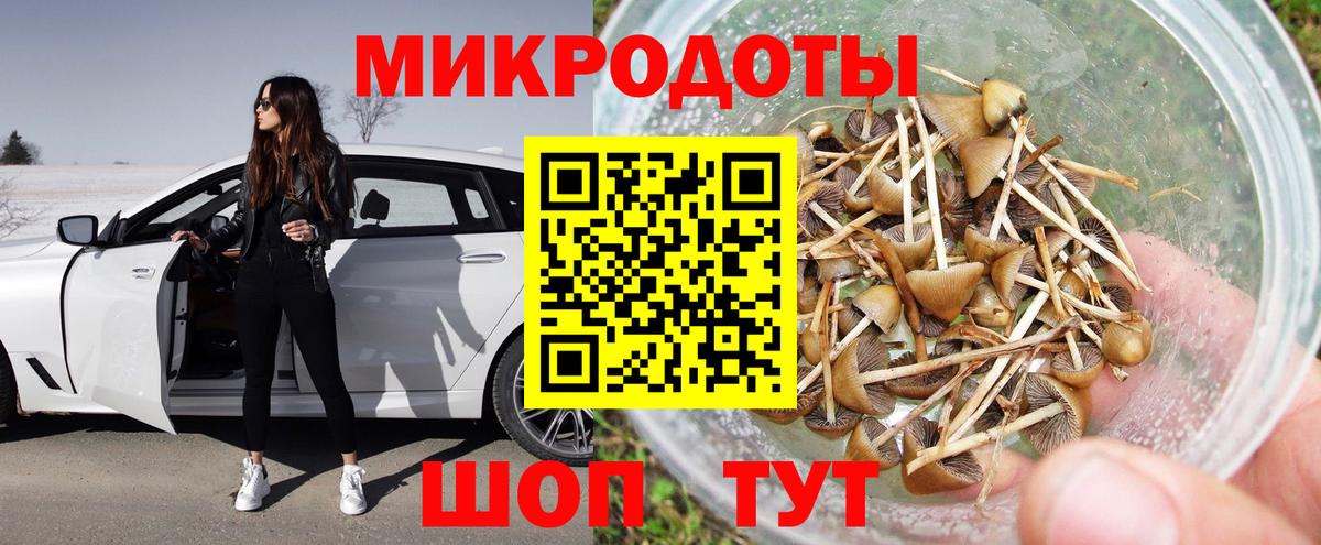 Галлюциногенные грибы прущие грибы  Галлюциногенные грибы Psilocybine cubensis  Новоуральск  Вход с VPN 